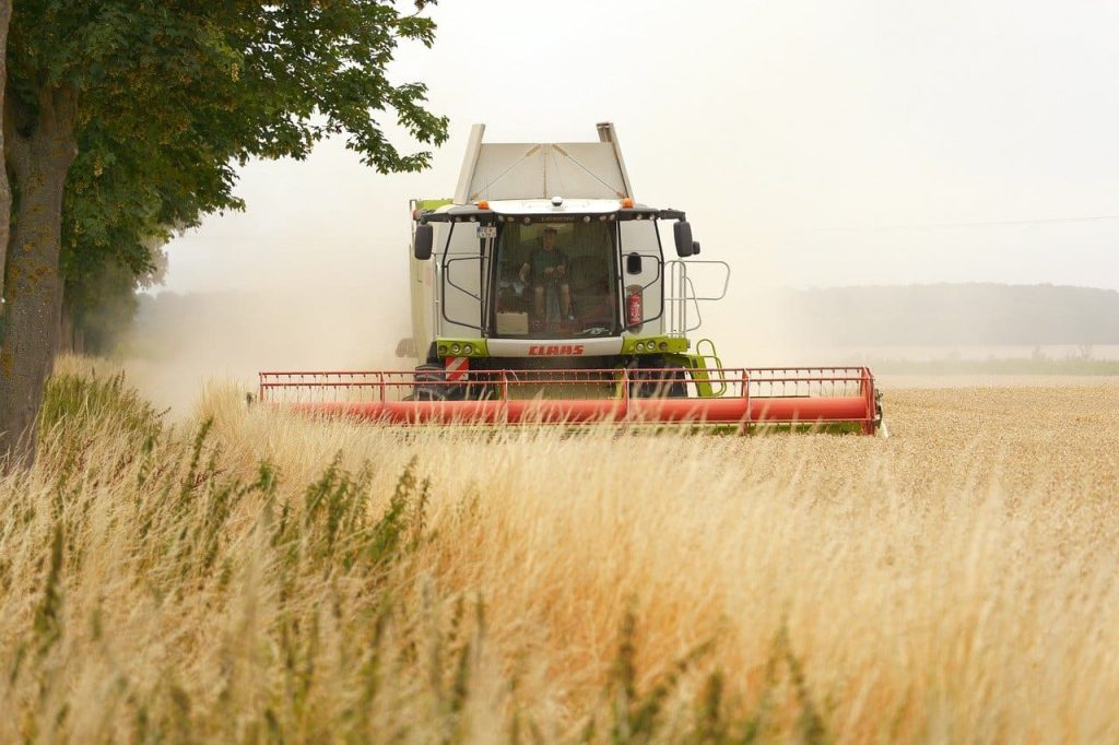 Combine harvester cutting through a golden grain field beside a row of trees, kicking up dust as it harvests crops on a hazy day.